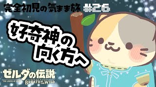 【雑談ブレワイ】#26 リハビリ！さんぽから始めよう🍣【ゼルダの伝説BotW/むぅたま VTuber】