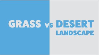 Grass vs xeriscape | The benefits of desert landscaping