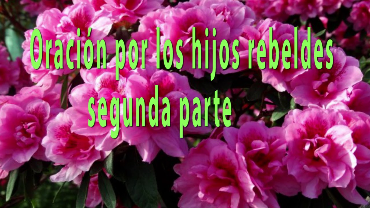 ORACIÓN POR LOS HIJOS REBELDES 