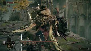 Elden Ring - Margit Parry Fail Elden Ring Margit Parry Fail
