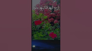 Quran Surah An-Naml سورة النمل Ayat 37-40 | byالقارئ اسلام صبحي |islam Sobhi♥️