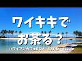 【途中広告なし・12時間】ワイキキで、お茶る？🌴 ハワイアンカフェBGM｜528Hz・432Hz｜ウクレレ×波音｜作業用・自宅カフェ・自律神経