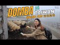 Pertama Kali Kasih Makan Domba! Qingjing Farm Taiwan 清境農場