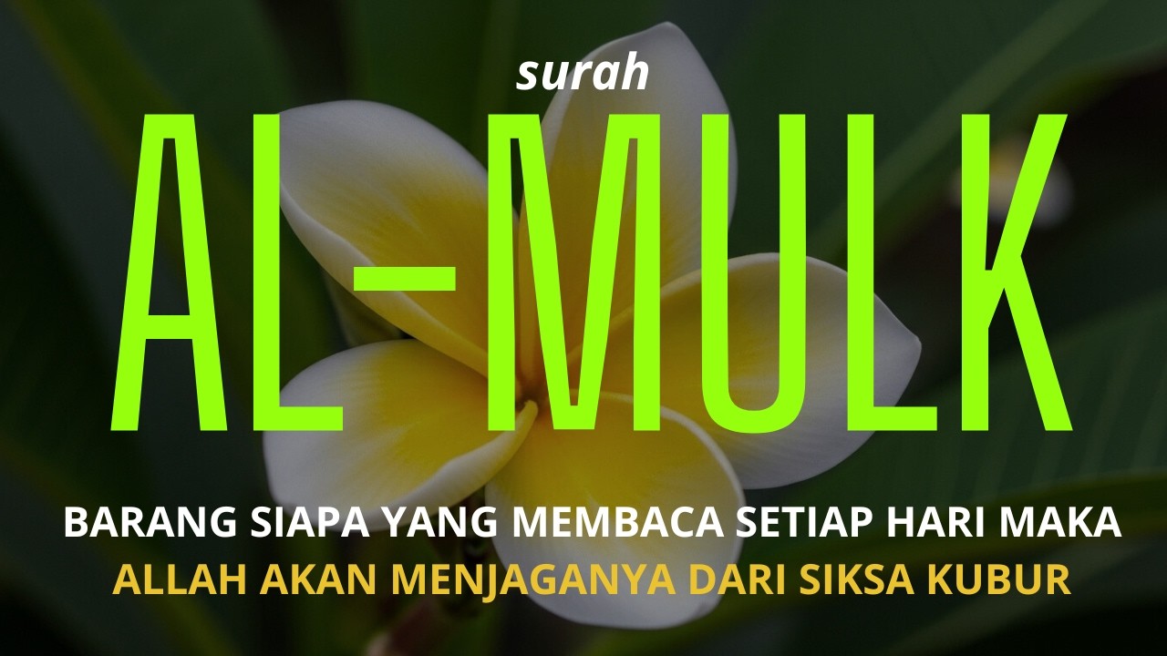 🔥 Surah Al-Mulk | Penjaga Malam, Pelindung Alam Kubur 🌙Dzikir Malam