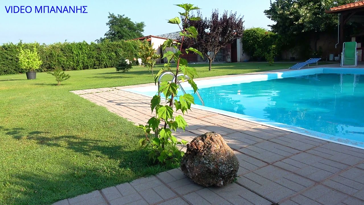 ΓΙΩΡΓΟΣ ΠΤΟΛΕΜΑΙΔΑ ΠΕΤΑΞΕ ΜΕΓΑΛΑ ΠΕΡΙΣΤΕΡΙΑ ΤΟ ΚΑΤΑΚΑΛΟΚΑΙΡΟ 2021