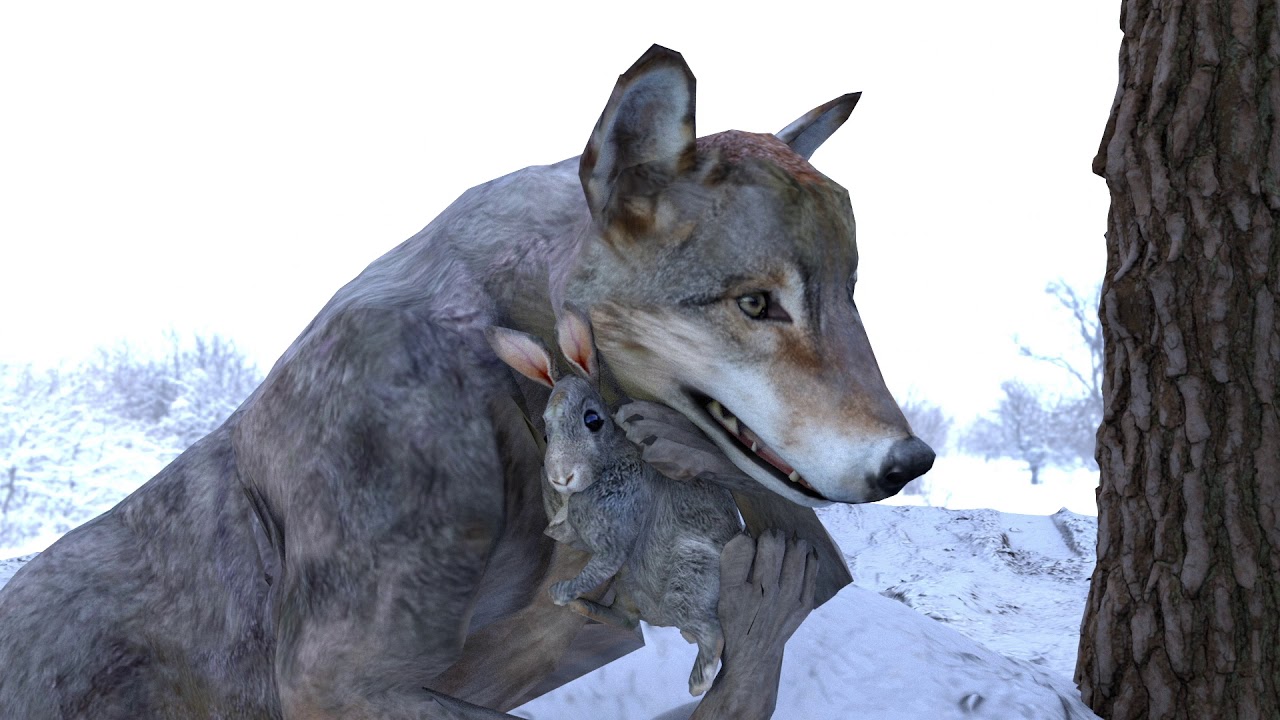Animal Nature - YouTube