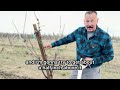 How To Get Branches EXACTLY Where You Want Them!