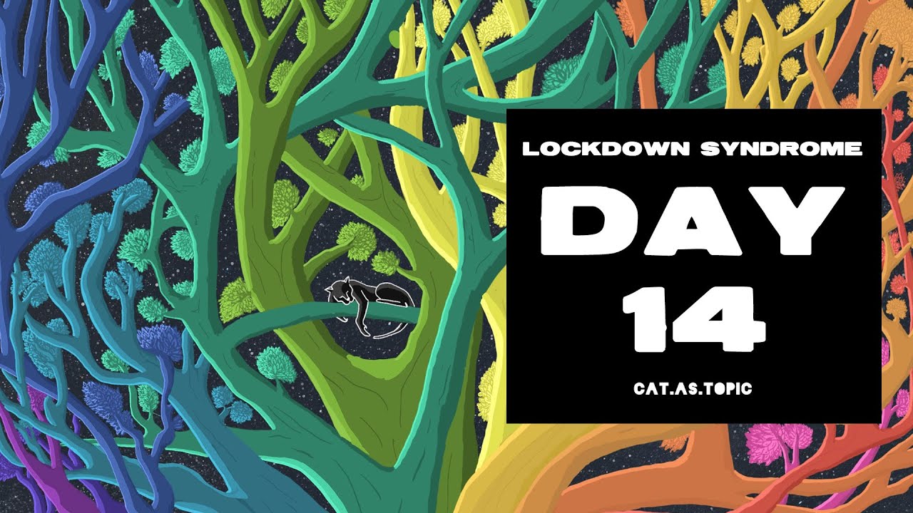 C.A.T Day 14 Lockdown Syndrome YouTube