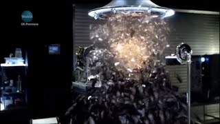 Primeval - fictional Future beetles. M