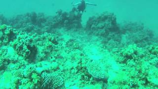 Diving: Red Sea, Yanbu - 2012