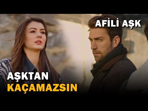 Kerem ve Ayşe Çiftlikte Karşılaşıyor!  - Afili Aşk 33.Bölüm