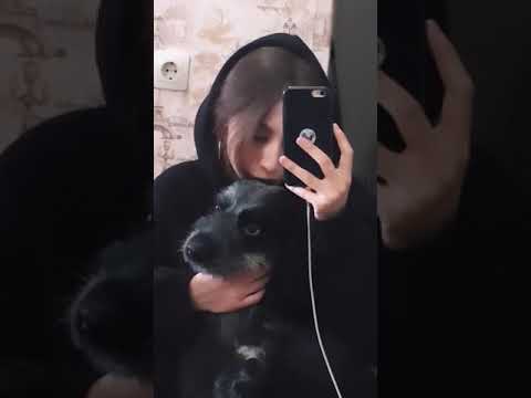 он сдерживает обещание по сей день 😌