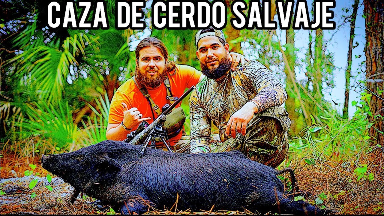 instalamos-comederos-y-nos-sorprende-una-manada-caza-y-cocina-de-cerdo