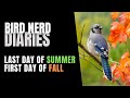 Last Day of Summer First Day of Fall | Bird Nerd Diaries