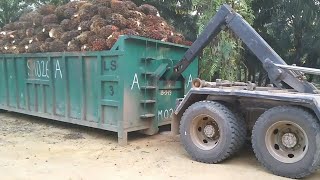 palm oil transport menggunakan truk bin@lory sawit