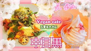 🌸中目黒🌸のveganカフェで有機野菜プレートから桜和スイーツまで堪能🌸至福ランチ☺️💕