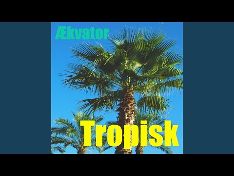 Video: Tropisk Iskage