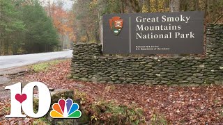 Trails closing in the GSMNP because of bears