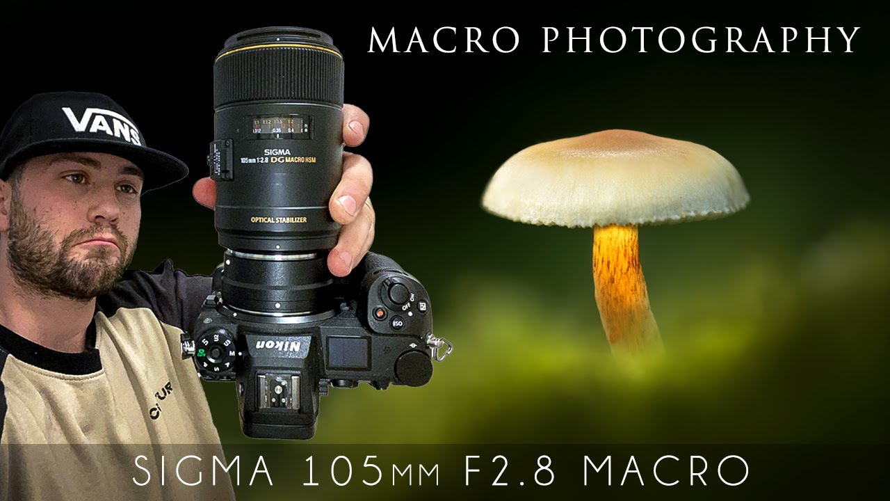 Macro Photography with the Sigma 105mm F2.8 EX DG Marco (Irish