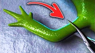 8 Animais Com Superpoderes Reais