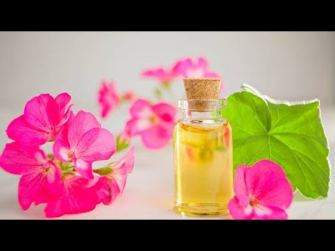زيت الجيرانيوم استخدامات علاجية مذهلة