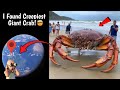  i found creepiest giant crab in real life on google earth and google maps googleearth