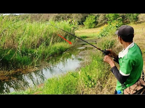 Video Câu cá lóc_Thật phê khi đi chiến ao hồ nơi xa @Hữunghị... - youtube
