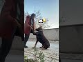 #STUBBORN DOG #funnydog #dogtraining #stubborndog #dogsoftiktok #fyp #viral #funnyanimals #doberman