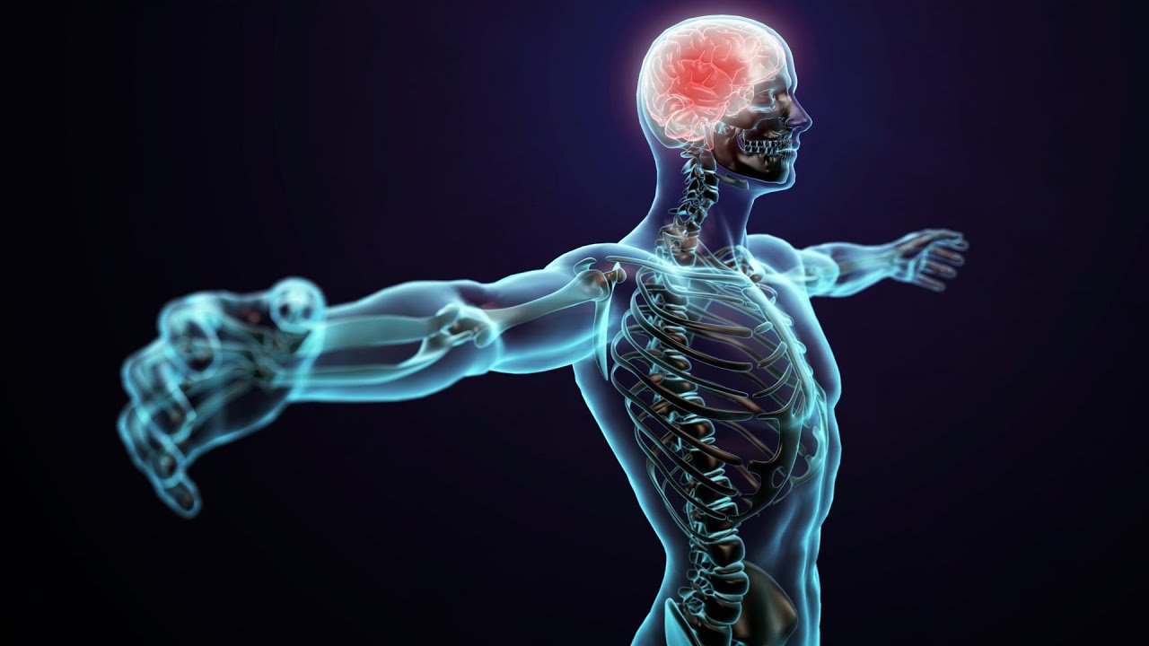 Удивительные факты о человеческом теле: открытия, которые вам покажут, насколько мы удивительны!