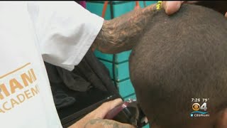 Students In Northwest Miami-Dade Treated To Free Haircuts