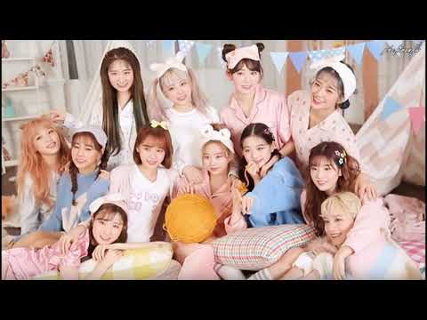 IZ*ONE - Secret Story Of The Swan Random Speed Dance