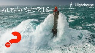 Alpha Short #3 // Shane Taylor