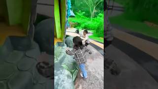 Download Lagu Ternyata Ada Suara Bayi Teman Teman MP3