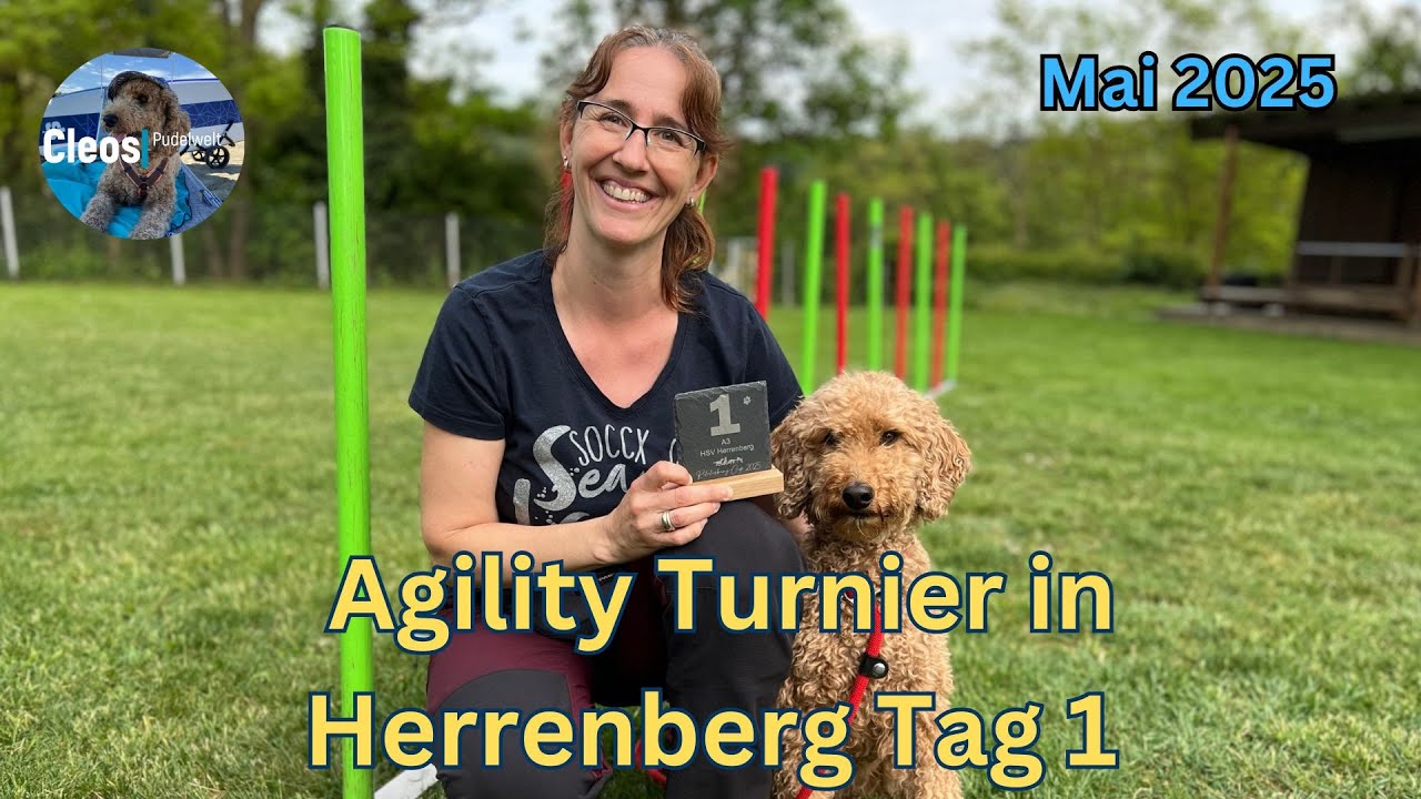 Agility Turnier in Herrenberg im Mai 2025 Tag 1
