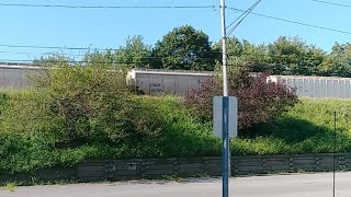 Live Streaming CSX Boxcar Train