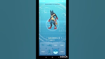 Mega battle Mega Lucario vs Mega Lucario raid Pokemon Go😱😱 #raid #trending #shorts #lucario #pokemon