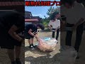大量の断熱材を処理しましたwww #shorts