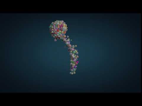 Attractor with bodycolider C4D