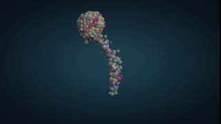 Attractor with bodycolider C4D