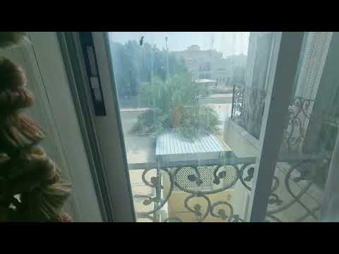 اليوم طائر المينا الكاكا يوسف شاد حيله ما دري زعل ولا فرح