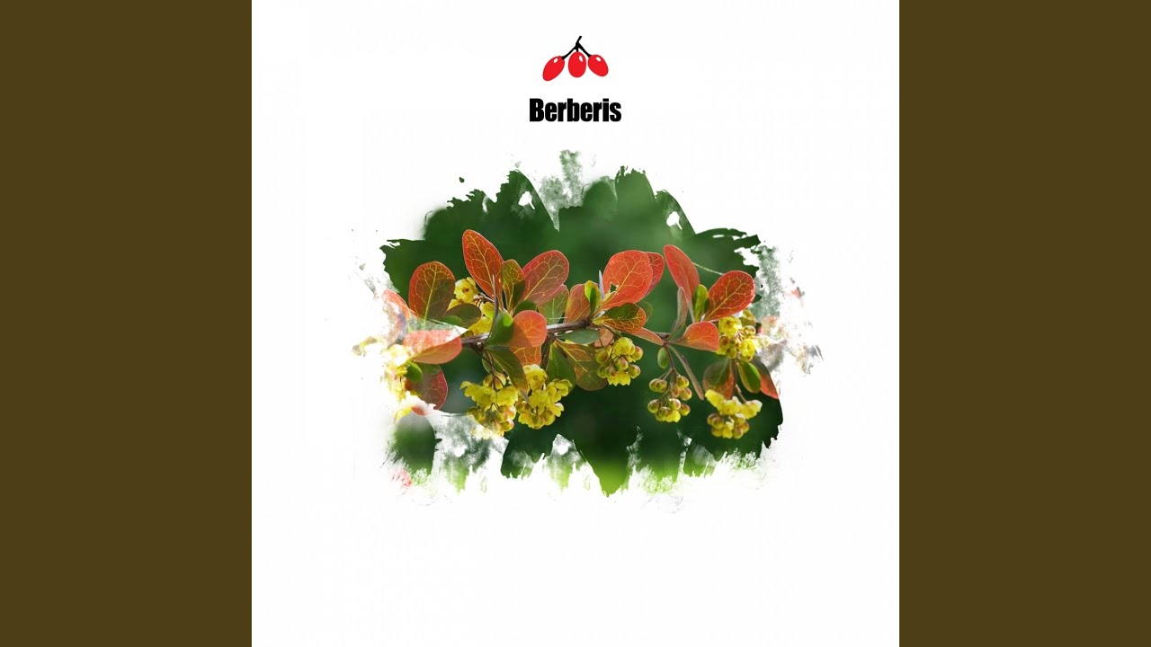 Watch Experiment (Original Mix) on YouTube Watch Experiment (Original Mix) on YouTube