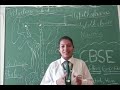 CBSE Story Telling Biology (9th to 12th Group)