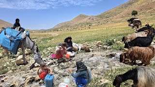 Climb to the Zagros Mountains Grass collection for canopies and winter goats and dishes🌿🏞🏕