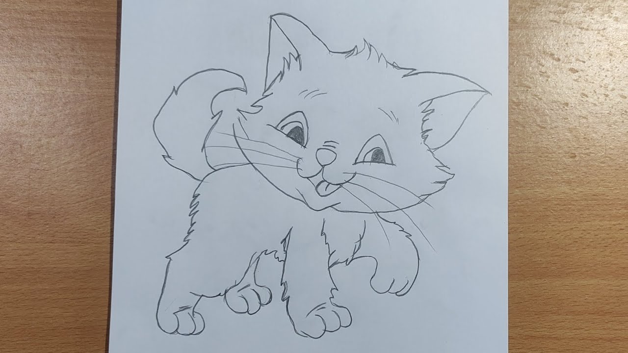 How To Draw Cat Easily 🤫🤫 Cat ka Drawing Kaise Bnaye Step by Step?😀
