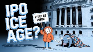 ❄️ The IPO Ice Age: Why Companies Aren’t Going Public (Funny Explainer)