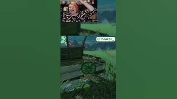 Mount finding korok seeds – The Legend of Zelda: Breath of the Wild #shorts