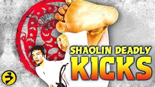 SHAOLIN DEADLY KICKS | Wu Tang Collection | Classic Action Martial Arts | Full Movie