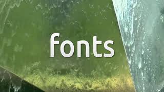 How to install Microsoft Fonts on Deepin 20.2