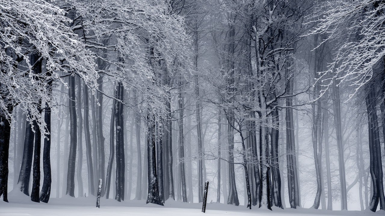 Ambient Snow Storm Meditation - YouTube