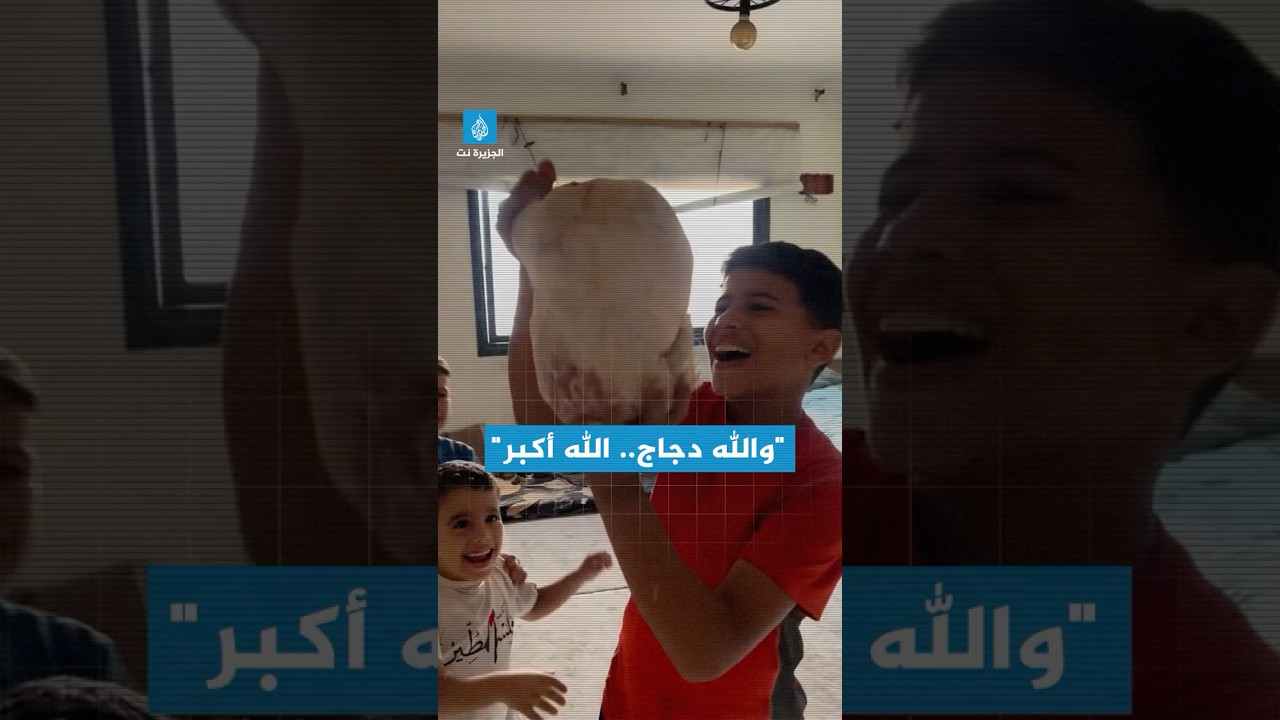 أب من #غزة يفاجئ أطفاله بدجاجة طال انتظارها بعد عام من الانقطاع.. شاهد حجم فرحتهم